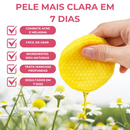 Pads Mágico de Limpeza de Ácido Kójico e Cúrcuma