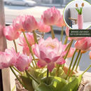 A flor de lótus da tigela sagrada de bonsai - [Brinde um Vaso de Flor Moderno]