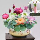 A flor de lótus da tigela sagrada de bonsai - [Brinde um Vaso de Flor Moderno]